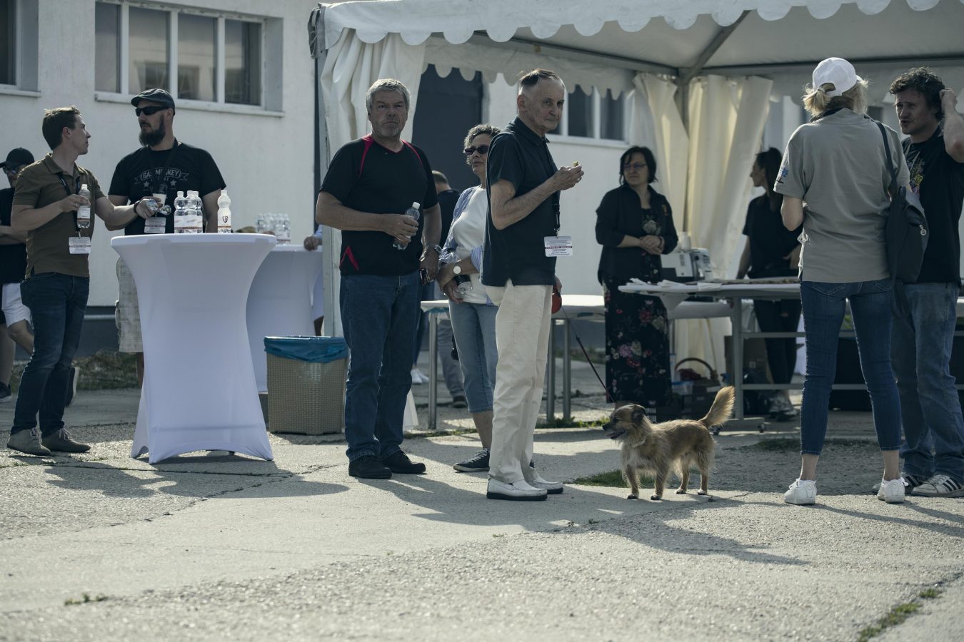 Pannonia Carnuntum Historic Rallye 21
