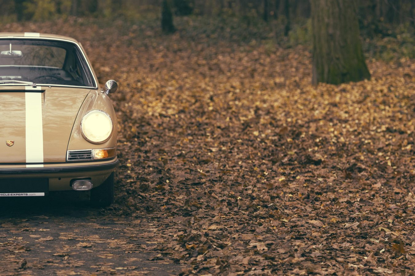 Porsche 911S aus 1967 zu Verkaufen