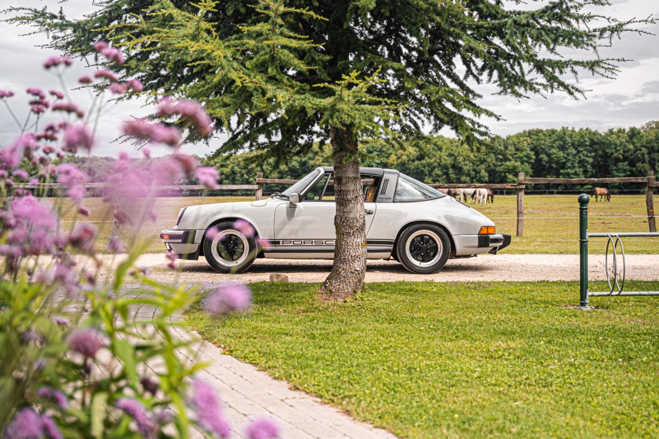 Porsche 911 Targa 1983 3