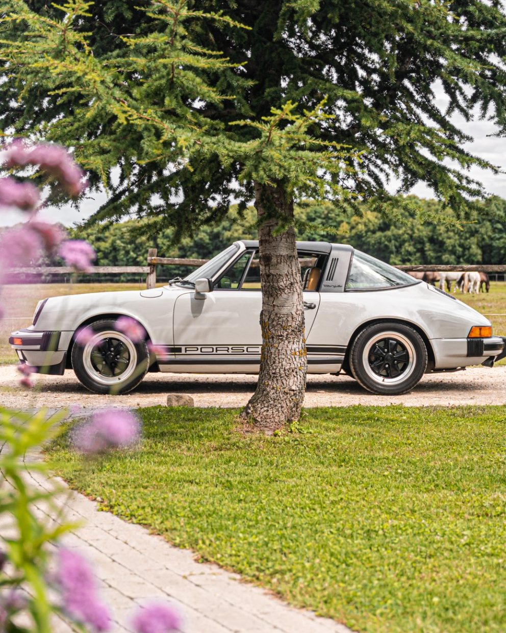Porsche 911 Targa 1983 3